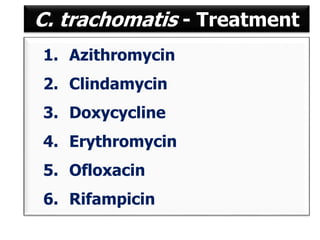 Chlamydiae | PPT