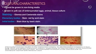 CULTURAL CHARACTERISTICS
• Cannot be grown in non-living media
• Grown in yolk sac of embroyonated eggs, animal, tissue culture
Staining – Giemsa and Castaneda stains
Elementary bodies – Stain red by acid stain
Initial bodies – Stain blue by basic stain.
K R MICRO NOTES 5
 