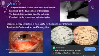 In Mice :-
• The specimen is inoculated intracerebrally into mice
• Examined for the development of the disease
• The brain is then removed from the sick mice
• Examined for the presence of inclusion bodies
Irradiated McCoy cell culture is more useful for the isolation of Chlamydia
Treatment – Sulfanamides and Tetracycline
K R MICRO NOTES 8
 