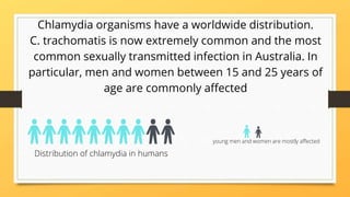 Chlamydia organisms have a worldwide distribution.
C. trachomatis is now extremely common and the most
common sexually transmitted infection in Australia. In
particular, men and women between 15 and 25 years of
age are commonly affected
Distribution of chlamydia in humans
young men and women are mostly affected
 