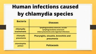 Human infections caused
by chlamydia species
Bacteria
Diseases
chlamydia
trachomatis
lymphogranuloma venerum, occular
lymphogranuloma venereum
infant pneumonia and urigenital infections
chlamydia
pneumonia
chlamidophila
psittaci Psittacosis
Pharyngitis, sinusitis, bronchitis and
pneumonia
 