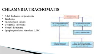 CHLAMYDIA TRACHOMATIS
• Adult Inclusion conjunctivitis
• Trachoma
• Pneumonia in infants
• Urogenital infections
• Reiter’s Syndrome
• Lymphogranuloma venerium (LGV)
 