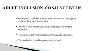 ADULT INCLUSION CONJUNCTIVITIS
• Oculogenital infection usually caused by serovars (serological
variants) D–K of C. trachomatis
• Affects 5–20% of sexually active young adults in Western
countries.
• Transmission is by autoinoculation from genital secretions.
• The incubation period is approximately a week.
 