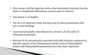 • Prior contact with the organism confers short-term partial immunity but also
leads to a heightened inflammatory reaction upon re-infection
• Vaccination is not helpful.
• The fly is an important vector, but there may be direct transmission from
eye or nasal discharge
• Associated principally with infection by serovars A, B, Ba and C of
Chlamydia trachomatis
• Serovars D–K conventionally associated with adult inclusion conjunctivitis
and other species of the Chlamydiaceae family such as Chlamydophila
psittaci and Chlamydophila pneumoniae have also been implicated.
 