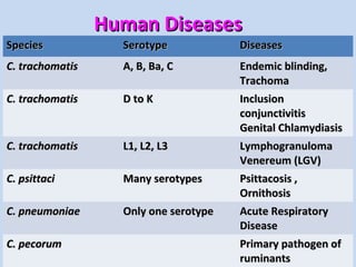 Human DiseasesHuman Diseases
SpeciesSpecies SerotypeSerotype DiseasesDiseases
C. trachomatisC. trachomatis A, B, Ba, CA, B, Ba, C Endemic blinding,Endemic blinding,
TrachomaTrachoma
C. trachomatisC. trachomatis D to KD to K InclusionInclusion
conjunctivitisconjunctivitis
Genital ChlamydiasisGenital Chlamydiasis
C. trachomatisC. trachomatis L1, L2, L3L1, L2, L3 LymphogranulomaLymphogranuloma
Venereum (LGV)Venereum (LGV)
C. psittaciC. psittaci Many serotypesMany serotypes Psittacosis ,Psittacosis ,
OrnithosisOrnithosis
C. pneumoniaeC. pneumoniae Only one serotypeOnly one serotype Acute RespiratoryAcute Respiratory
DiseaseDisease
C. pecorumC. pecorum Primary pathogen ofPrimary pathogen of
ruminantsruminants
 