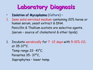 Laboratory DiagnosisLaboratory Diagnosis
• Isolation of MycoplasmaIsolation of Mycoplasma (Culture) –
1. Semi solid enriched medium containing 20% horse or
human serum, yeast extract & DNA.
Penicillin & Thallium acetate are selective agents.
(serum – source of cholesterol & other lipids)
1. Incubate aerobically for 7 -12 days with 5–10% CO2
at 35-37°C.
Temp range 22- 41°C,
Parasites 35- 37°C,
Saprophytes – lower temp.
 