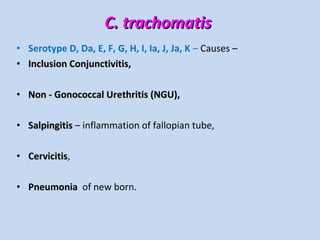 • Serotype D, Da, E, F, G, H, I, Ia, J, Ja, K – Causes –
• Inclusion Conjunctivitis,Inclusion Conjunctivitis,
• Non - Gonococcal Urethritis (NGU),Non - Gonococcal Urethritis (NGU),
• SalpingitisSalpingitis – inflammation of fallopian tube,
• CervicitisCervicitis,
• PneumoniaPneumonia of new born.
C. trachomatisC. trachomatis
 