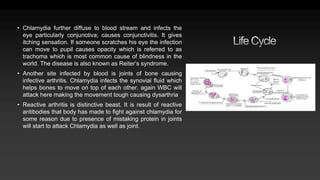 • Chlamydia further diffuse to blood stream and infects the
eye particularly conjunctiva; causes conjunctivitis. It gives
itching sensation. If someone scratches his eye the infection
can move to pupil causes opacity which is referred to as
trachoma which is most common cause of blindness in the
world. The disease is also known as Reiter’s syndrome.
• Another site infected by blood is joints of bone causing
infective arthritis. Chlamydia infects the synovial fluid which
helps bones to move on top of each other. again WBC will
attack here making the movement tough causing dysarthria
• Reactive arthritis is distinctive beast. It is result of reactive
antibodies that body has made to fight against chlamydia for
some reason due to presence of mistaking protein in joints
will start to attack Chlamydia as well as joint.
 