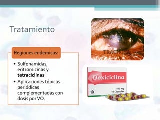 Tratamiento

 Regiones endemicas:

• Sulfonamidas,
  eritromicinas y
  tetraciclinas
• Aplicaciones tópicas
  periódicas
  complementadas con
  dosis por VO.
 