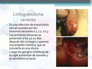 Linfogranuloma
         venereo
• Es una infección de transmisión
  sexual causada por los
  invasivos serovares L1, L2, o L3
• Los primeros síntomas se
  presentan a los 3 a 12 días
  después del contagio y aparece
  una ampolla indolora, que se
  convierte en una úlcera
• Luego los ganglios linfáticos de
  la ingle aumentan de tamaño y
  se sensibiliza al tacto.
 