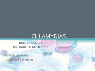 CHLAMYDIAS
         BACTERIOLOGIA
     DR. HAROLD GUTIERREZ

 Gabriel Adrián
 Manuel Balladares
 