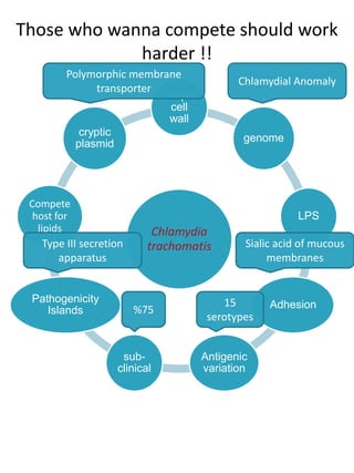 Those who wanna compete should work
             harder !!
         Polymorphic membrane
                                                   Chlamydial Anomaly
              transporter
                                   unique
                                    cell
                                    wall
              cryptic
                                                    genome
             plasmid




 Compete
  host for                                                     LPS
   lipids                       Chlamydia
   Type III secretion          trachomatis          Sialic acid of mucous
      apparatus                                          membranes


 Pathogenicity                                  15
                           %75                           Adhesion
    Islands
                                             serotypes


                         sub-               Antigenic
                        clinical            variation
 