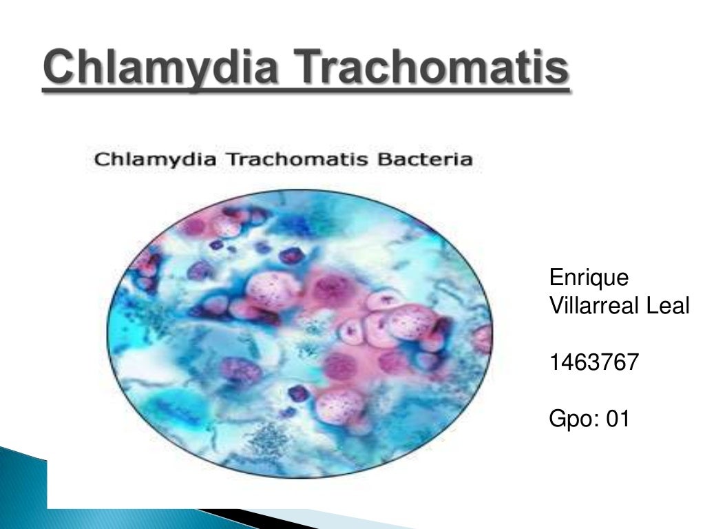 Chlamydia trachomatis
