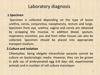 Chlamydia trachomatis.pptx microbiology | PPTX