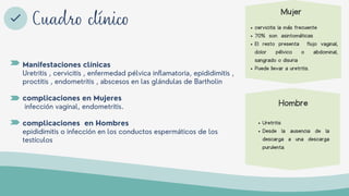 Manifestaciones clínicas
Uretritis , cervicitis , enfermedad pélvica inflamatoria, epididimitis ,
proctitis , endometritis , abscesos en las glándulas de Bartholin
complicaciones en Mujeres
infección vaginal, endometritis.
complicaciones en Hombres
epididimitis o infección en los conductos espermáticos de los
testículos
Cuadro clínico
Mujer
cervicitis la más frecuente
70% son asintomáticas
El resto presenta flujo vaginal,
dolor pélvico o abdominal,
sangrado o disuria
Puede llevar a uretritis.
Hombre
Uretritis
Desde la ausencia de la
descarga a una descarga
purulenta.
 