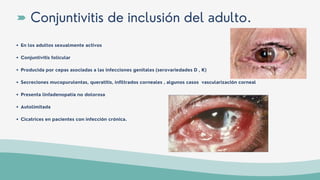En los adultos sexualmente activos
Conjuntivitis folicular
Producida por cepas asociadas a las infecciones genitales (serovariedades D , K)
Secreciones mucopurulentas, queratitis, infiltrados corneales , algunos casos vascularización corneal
Presenta linfadenopatía no dolorosa
Autolimitada
Cicatrices en pacientes con infección crónica.
Conjuntivitis de inclusión del adulto.
 