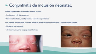 Niños expuestos a C. trachomatis durante el parto
Incubación 5 y 12 días posparto.
Párpados hinchados, con hiperemia y secreciones purulentas.
No tratadas pueden durar 12 meses , donde se ´puede producir cicatrización y vascularización corneal.
Riesgo de una neumonía
Afecta en su mayoría los parpados inferiores.
Conjuntivitis de inclusión neonatal,
 