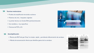 Pruebas de amplificación de ácidos nucleicos
Muestras de orina , hisopados vaginales
La primer técnica con Sonda DNA quimioluminiscente
Son sensibles y muy especificas
Técnicas de PCR y LCL
Técnicas moleculares
Técnica de RFLP del gen Omp-1 es simple ,rápido , permitiendo diferenciación de serotipos
Método de secuenciación directa que identifica genes de los serotipos
Genotipificación
 