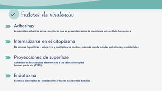 Adhesinas
Le permiten adherirse a los receptores que se presentan sobre la membrana de la célula hospedera
Internalizarse en el citoplasma
De células fagocíticas , sobrevivir y multiplicarse dentro , además invade células epiteliales y endoteliales
Proyecciones de superficie
Adhesión de los cuerpos elementales a las células huésped
forman parte de (T3SS).
Endotoxina
Estimula liberación de interleucinas y factor de necrosis tumoral
Factores de virulencia
 