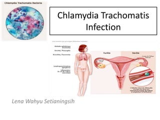 Chlamydia Trachomatis 
Infection 
Lena Wahyu Setianingsih 
 