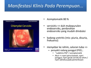 Manifestasi Klinis Pada Perempuan... 
• Asimptomatik 80 % 
• servisitis => duh mukopurulen 
endoserviks, perdarahan 
endoserviks yang mudah diinduksi 
• kadang uretritis (mis: piuria, disuria, 
frekuensi) 
• menyebar ke rahim, saluran tuba => 
– penyakit radang panggul (PID) ; 
• "subklinis PID“ / asimptomatik 
• Akut => nyeri perut bawah, nyeri 
panggul, nyeri gerak serviks & rahim / 
nyeri adneksa pada pemeriksaan 
 