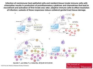 Infection of nonimmune host epithelial cells and resident tissue innate immune cells with 
chlamydiae results in production of proinflammatory cytokines and chemokines that lead to 
recruitment and activation of first innate and, later, adaptive immune cells to effect resolution 
of infection; subsets of these responses induce collateral genital tract tissue damage. 
Darville T , and Hiltke T J J Infect Dis. 2010;201:S114-S125 
© 2010 by the Infectious Diseases Society of America 
 