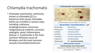 Chlamydia tracomatis dan Ricketsia.pptx