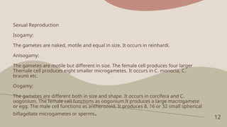 Sexual Reproduction
Isogamy:
The gametes are naked, motile and equal in size. It occurs in reinhardi.
Anisogamy:
The gametes are motile but different in size. The female cell produces four larger
Themale cell produces eight smaller microgametes. It occurs in C. monocia, C.
braunii etc.
Oogamy:
The gametes are different both in size and shape. It occurs in corcifera and C.
oogonium. The female cell functions as oogonium.lt produces a large macrogamete
or egg. The male cell functions as antherozoid. It produces 8, 16 or 32 small spherical
biflagellate microgametes or sperms. 12
 