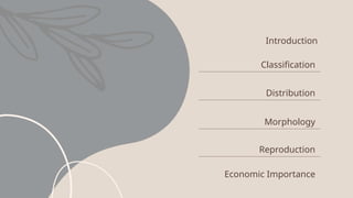 Introduction
Classification
Distribution
Morphology
Reproduction
Economic Importance
 