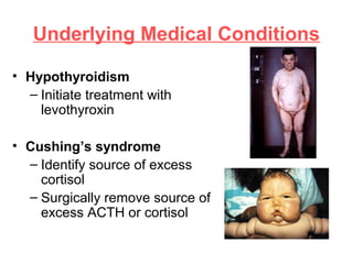 Underlying Medical Conditions
• Hypothyroidism
– Initiate treatment with
levothyroxin
• Cushing’s syndrome
– Identify source of excess
cortisol
– Surgically remove source of
excess ACTH or cortisol
 