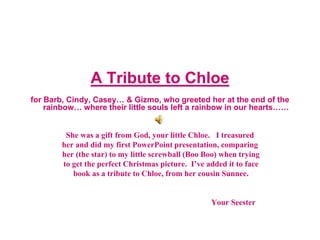 A Tribute to Chloe
for Barb, Cindy, Casey… & Gizmo, who greeted her at the end of the
rainbow… where their little souls left a rainbow in our hearts……
She was a gift from God, your little Chloe. I treasured
her and did my first PowerPoint presentation, comparing
her (the star) to my little screwball (Boo Boo) when trying
to get the perfect Christmas picture. I’ve added it to face
book as a tribute to Chloe, from her cousin Sunnee.
Your Seester
 