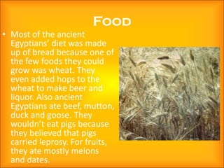 Food
• Most of the ancient
  Egyptians’ diet was made
  up of bread because one of
  the few foods they could
  grow was wheat. They
  even added hops to the
  wheat to make beer and
  liquor. Also ancient
  Egyptians ate beef, mutton,
  duck and goose. They
  wouldn’t eat pigs because
  they believed that pigs
  carried leprosy. For fruits,
  they ate mostly melons
  and dates.
 