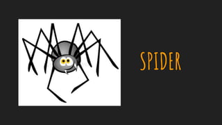 SPIDER
 
