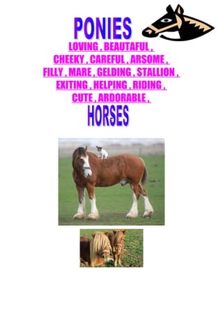 LOVING , BEAUTAFUL ,
   CHEEKY , CAREFUL , ARSOME ,
FILLY , MARE , GELDING , STALLION ,
   EXITING , HELPING , RIDING ,
         CUTE , ARDORABLE ,
 