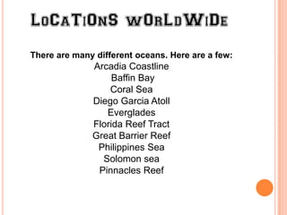 There are many different oceans. Here are a few:
              Arcadia Coastline
                   Baffin Bay
                  Coral Sea
              Diego Garcia Atoll
                 Everglades
              Florida Reef Tract
              Great Barrier Reef
               Philippines Sea
                Solomon sea
               Pinnacles Reef
 