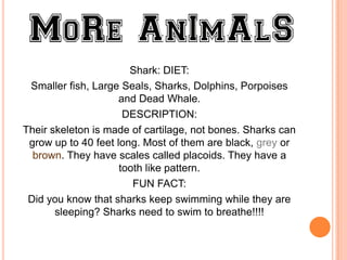 Shark: DIET:
 Smaller fish, Large Seals, Sharks, Dolphins, Porpoises
                     and Dead Whale.
                      DESCRIPTION:
Their skeleton is made of cartilage, not bones. Sharks can
 grow up to 40 feet long. Most of them are black, grey or
  brown. They have scales called placoids. They have a
                     tooth like pattern.
                        FUN FACT:
 Did you know that sharks keep swimming while they are
       sleeping? Sharks need to swim to breathe!!!!
 