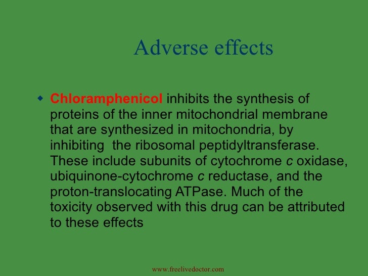 Chloramphenicol Side Effects In Canines