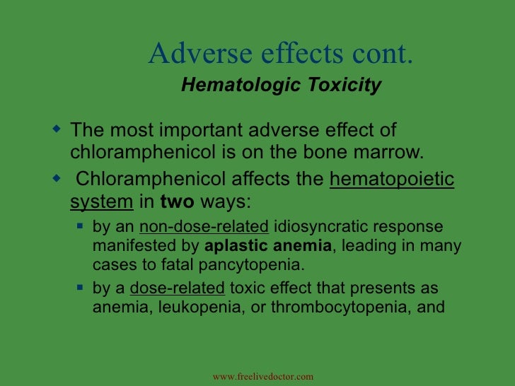 Chloramphenicol Side Effects In Canines