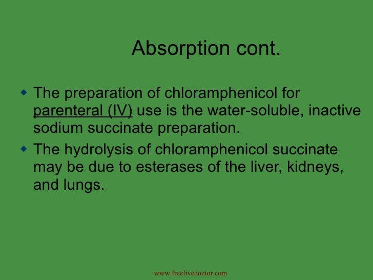 Chloramphenicol Palmitate Solubility