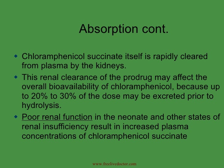 Chloramphenicol Palmitate Solubility