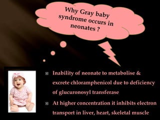  Topically for eye infections When chloramphenicol should not be prescribed ?	hepatic failure 	new borns (<1wk)	premature infants 