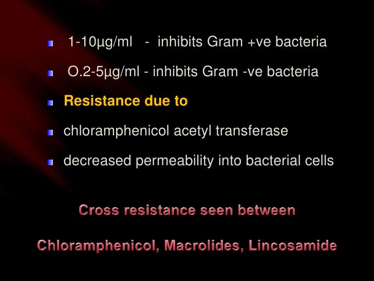 Chloramphenicol Palmitate Oral Suspension Dosage