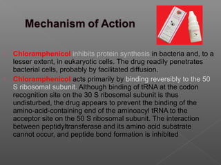    Chloramphenicol inhibits protein synthesis in bacteria and, to a
    lesser extent, in eukaryotic cells. The drug readily penetrates
    bacterial cells, probably by facilitated diffusion.
   Chloramphenicol acts primarily by binding reversibly to the 50
    S ribosomal subunit. Although binding of tRNA at the codon
    recognition site on the 30 S ribosomal subunit is thus
    undisturbed, the drug appears to prevent the binding of the
    amino-acid-containing end of the aminoacyl tRNA to the
    acceptor site on the 50 S ribosomal subunit. The interaction
    between peptidyltransferase and its amino acid substrate
    cannot occur, and peptide bond formation is inhibited
 