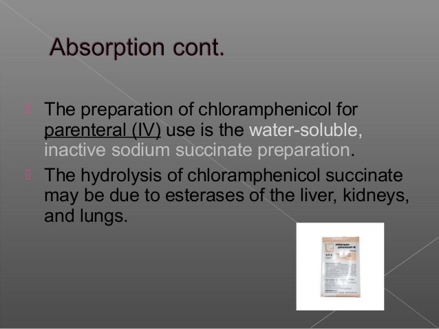 Chloramphenicol Palmitate Solubility