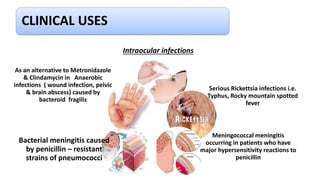 CLINICAL USES
Intraocular infections
Serious Rickettsia infections i.e.
Typhus, Rocky mountain spotted
fever
Meningococcal meningitis
occurring in patients who have
major hypersensitivity reactions to
penicillin
Bacterial meningitis caused
by penicillin – resistant
strains of pneumococci
As an alternative to Metronidazole
& Clindamycin in Anaerobic
infections ( wound infection, pelvic
& brain abscess) caused by
bacteroid fragilis
 