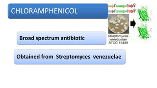 CHLORAMPHENICOL
Broad spectrum antibiotic
Obtained from Streptomyces venezuelae
 