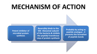 MECHANISM OF ACTION
Potent inhibitor of
microbial protein
synthesis
Reversibly binds to the
50S ribosomal subunit
of the bacteria & inhibits
the peptidyl transferase
step of protein synthesis
Probably by acting as
peptide analogue , it
prevents the formation
of peptide bonds
 