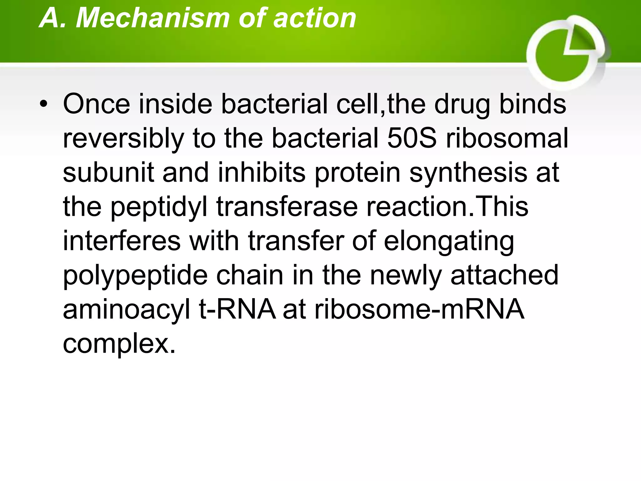 A. Mechanism of action
• Once inside bacterial cell,the drug binds
reversibly to the bacterial 50S ribosomal
subunit and inhibits protein synthesis at
the peptidyl transferase reaction.This
interferes with transfer of elongating
polypeptide chain in the newly attached
aminoacyl t-RNA at ribosome-mRNA
complex.
 