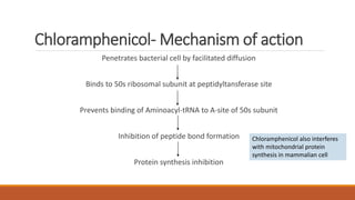 Chloramphenicol- Mechanism of action
Penetrates bacterial cell by facilitated diffusion
Binds to 50s ribosomal subunit at peptidyltansferase site
Prevents binding of Aminoacyl-tRNA to A-site of 50s subunit
Inhibition of peptide bond formation
Protein synthesis inhibition
Chloramphenicol also interferes
with mitochondrial protein
synthesis in mammalian cell
 