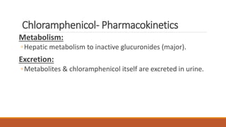 Chloramphenicol- Pharmacokinetics
Metabolism:
◦Hepatic metabolism to inactive glucuronides (major).
Excretion:
◦Metabolites & chloramphenicol itself are excreted in urine.
 
